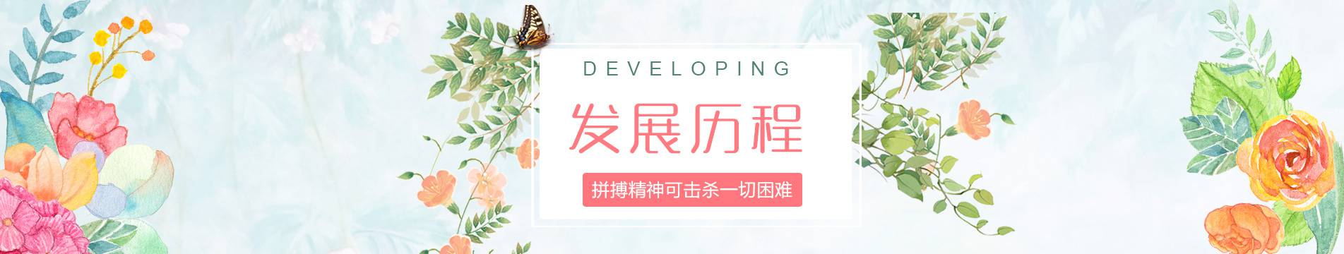 髮(fa)展(zhan)歷(li)程(cheng)